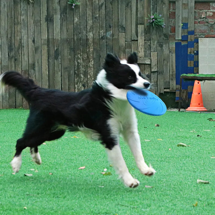 Durable Silicone Flying Disk for Dogs