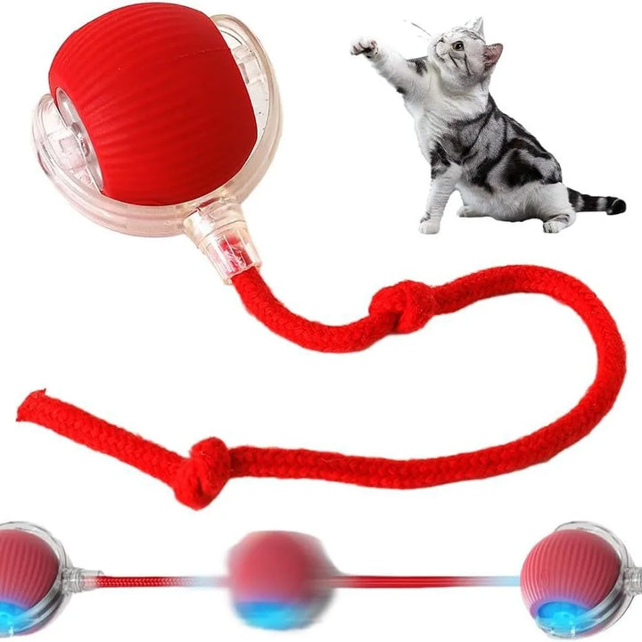 Interactive Rolling Ball Toy