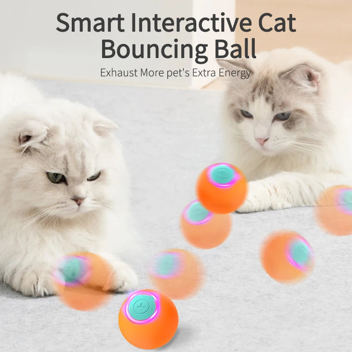 Smart Interactive Bouncing Ball for Cats