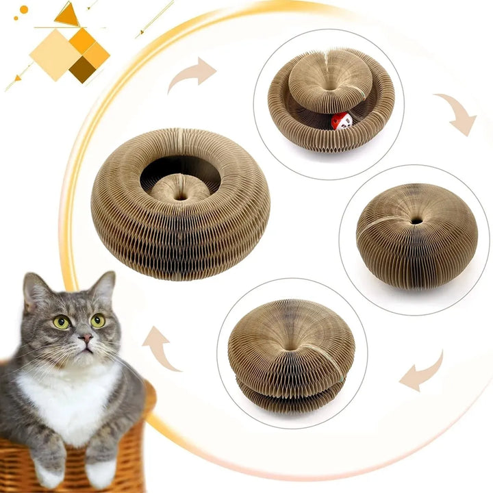 Magic Cat Scratching Board